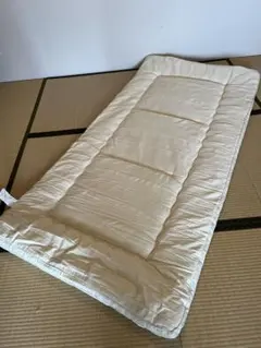 Item thumbnail for item 2a6f880f-ae0a-4558-90f4-92d77a94d823