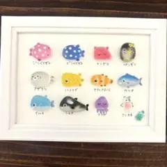 シーグラスアート☆No.399 図鑑 海の生き物 ギフト プレゼント