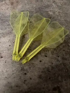 Item thumbnail for item ab3f7f03-b007-4cd0-b91b-c4a008d7838e