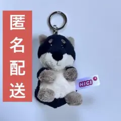 NICI クロシバ シバイヌ