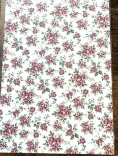 Item thumbnail for item 801faeb2-56eb-4905-ae56-3f09e5213d7f