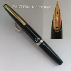 パイロット エリート 蝕刻 万年筆 18k 廃番 廃盤 pilot elite - メルカリ