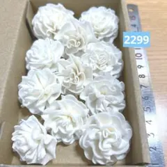 ソラフラワー　2299