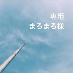 専用ページ まろまろ様