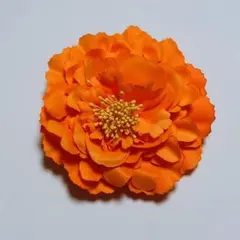 Item thumbnail for item c370652a-e193-4a59-b507-54abc6f2c7a1