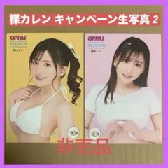 楪カレン 公式 生写真 2枚 DVD 特典/ グラビアアイドル セクシー女優のサムネイル