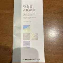 株主優待券 東急不動産ホールディングス 2025年12月