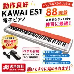 2026年最新】ES1 KAWAIの人気アイテム - メルカリ
