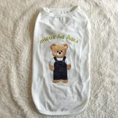 Item thumbnail for item 4bd9c73d-5f51-450e-8a6a-d5058044e1e1