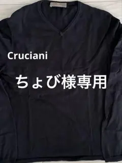 2026年最新】クルチアーニ cruciani vネックの人気アイテム - メルカリ