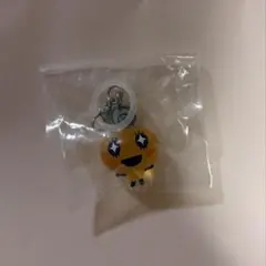 めめっち　めじるしアクセサリー3 たまごっち