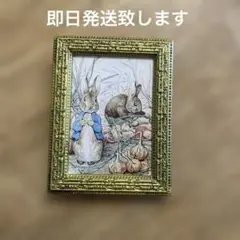 ピーターラビット ◆ マグネット