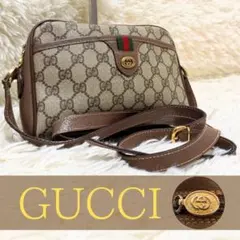 希少 グッチ シェリーライン GG キャンバス レザー ショルダーバッグ PVC