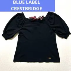 BLUE LABEL CRESTBRIDGEバルーンスリーブ半袖カットソー　36