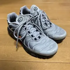 Nike Air Max Plus グレー