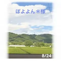 HL様　ジュワッと甘味溢れる　大玉　さくら白桃　EM酵母栽培　5kg箱 HL様 ジュワッと甘味溢れる 大玉 さくら白桃 EM酵母栽培 5kg箱 - メルカリ