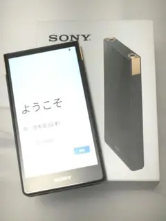 か*ん様 ソニー ウォークマン NW-ZX707のサムネイル