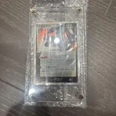 25周年ブラッキー