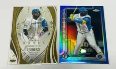 Item thumbnail for item c1ec60b0-ff0d-47b6-bc59-730570908ab7