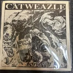フジファブリック 若者のすべて c/w セレナーデ 7インチレコード