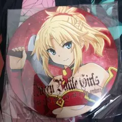 激レア　ビックFate/EXTRA 缶バッジ
