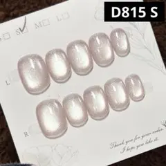 現品ネイルチップ　ベリーショート　ワンカラーマグネットうるうるオフィスちゅるん