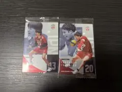 男子日本代表ver.ツインウエハース 2026 W智大セット