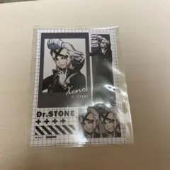 Dr.STONE ゼノ まるくじ 購入特典 ブロマイド