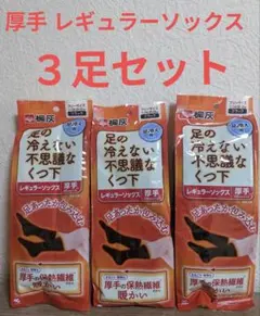 【新品】3足セット 足の冷えない不思議なくつ下　レギュラーソックス厚手
