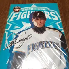 新庄　下敷き 2025年最新】新庄下敷きの人気アイテム - メルカリ