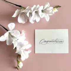 Item thumbnail for item 8ec6c6c3-2018-4dc1-93dc-2de7a7702fea