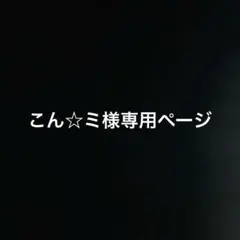 専用ページ