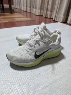 NIKE ウィンフロー11 25.5