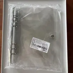 Item thumbnail for item 320e7dc9-33fa-4d41-b4ac-dc83ac0d20e8