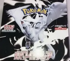 ホワイトフレア　1BOX分