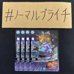 リクエスト 4点 まとめ商品 2025年最新】銀竜草の人気アイテム - メルカリ