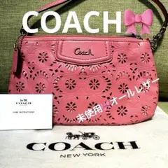 2025年最新】COACH カラー：ピンク系 スマホショルダーバッグの