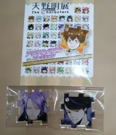 天野明展 アクリルパズル