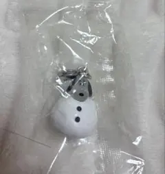 PEANUTS めじるしアクセサリー FUNNY ver. スヌーピーE