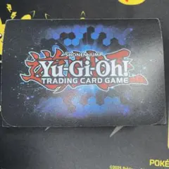 新品未開封】遊戯王 デュエリストデッキケース & プロテクターKCセット