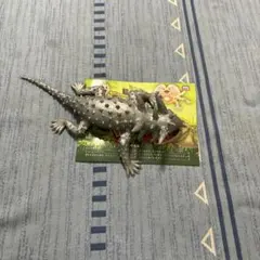超リアル爬虫類 モロクトカゲ フィギュア＆解説冊子