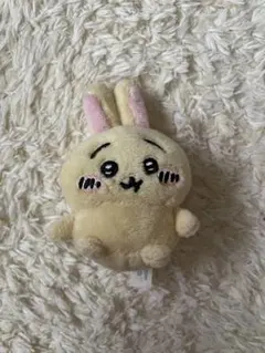 読様 theboyz ドボイズ ヨンフン ぬいぐるみ 빵또끼 - メルカリ