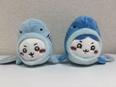 ちいかわ水族館　サメなちいかわ　ジンベイザメなハチワレ