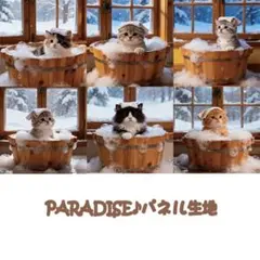 PARADISEパネル生地　 猫柄