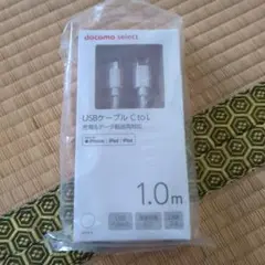 USBケーブル Type-C to L1.0m
