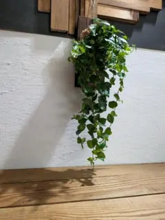 TOMOTA様 リクエスト 2点 まとめ商品