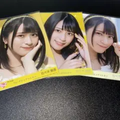 イコラブ 佐々木舞香 封入 LOVE イコラブ 佐々木舞香 7周年 円盤 封入 生写真 - メルカリ