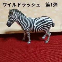 グラントシマウマ　海洋堂