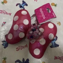 ミニーのファンダーランド キーチェーン