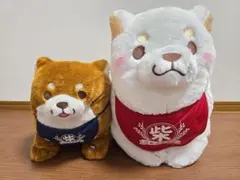 Dai様 リクエスト 2点 まとめ商品